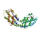 Cross-linked Allophycocyanin Fluorescent Protein (XL-APC-FIVE)